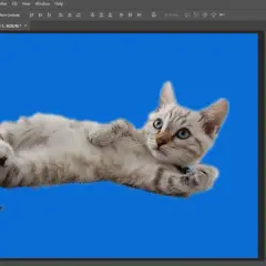 Jak zmienić tło w Photoshopie? Prosty przewodnik krok po kroku