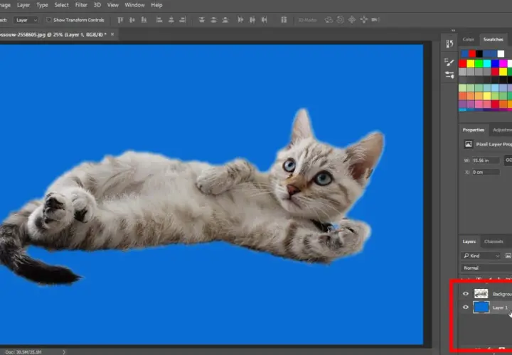 Jak zmienić tło w Photoshopie? Prosty przewodnik krok po kroku