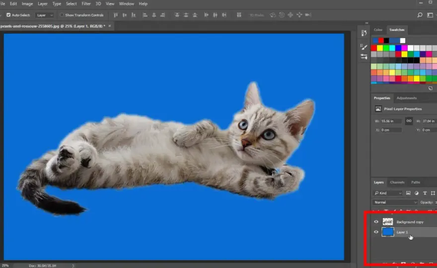 Jak zmienić tło w Photoshopie? Prosty przewodnik krok po kroku